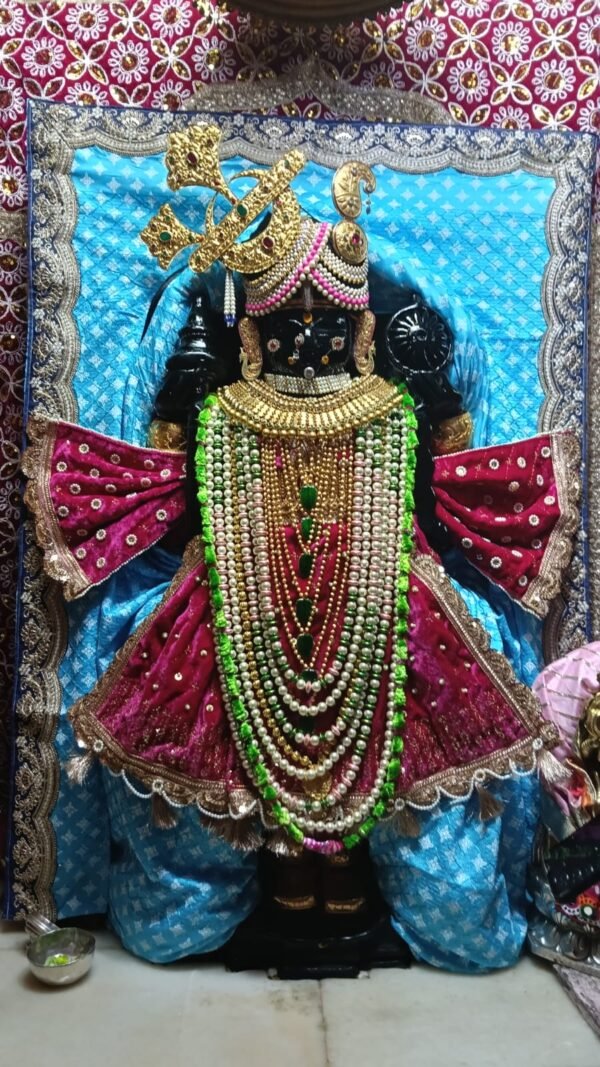 Premium Royal Blue & Magenta Bhagwan Ji Poshak