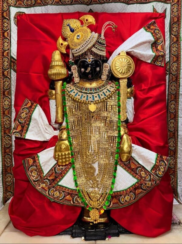 Premium Red & White Heavy Embroidered Bhagwan Ji Poshak