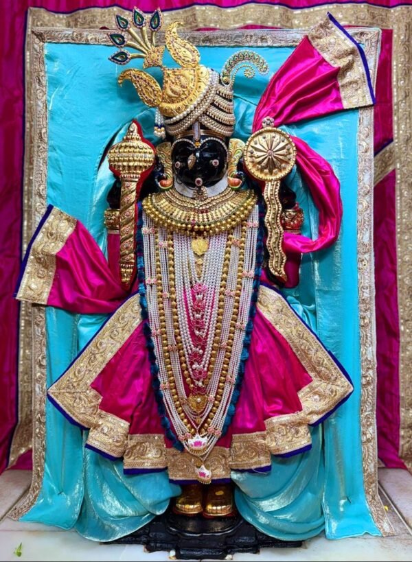 Premium Turquoise Blue & Magenta Royal Bhagwan Ji Poshak