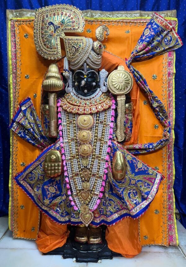 Premium Orange & Royal Blue Embroidered Bhagwan Ji Poshak