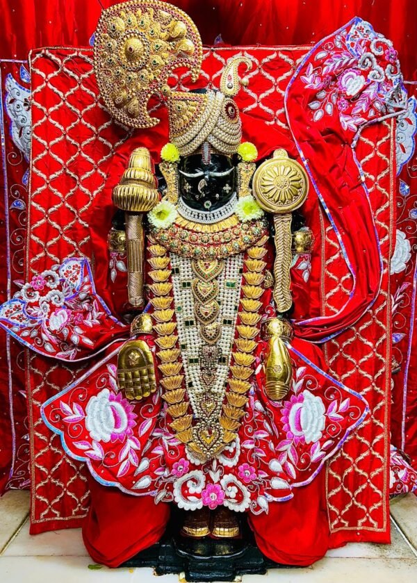 Premium Red Floral Embroidered Bhagwan Ji Poshak